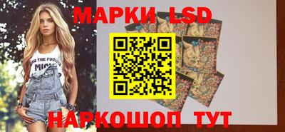 spice Кулебаки