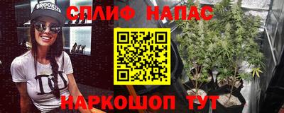 spice Кулебаки