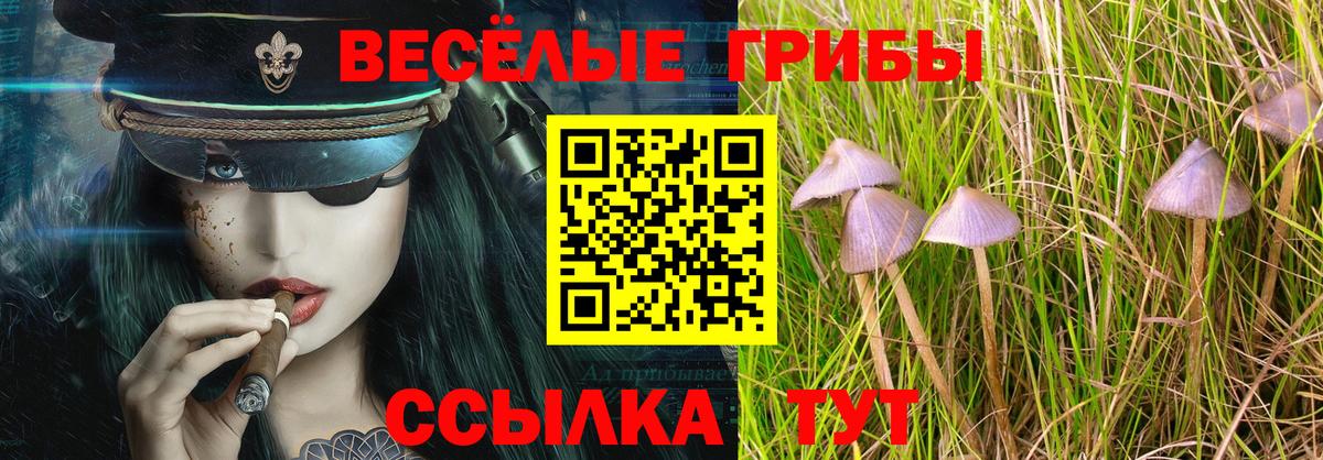 Егорьевск  Галлюциногенные грибы мухоморы  Вход с VPN  продажа наркотиков  Галлюциногенные грибы ЛСД 