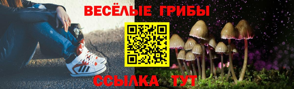 Псилоцибиновые грибы мицелий Егорьевск
